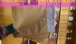 寻找过去的足迹：河南往届生档案查询