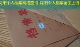 沈阳个人档案网络查询_沈阳个人档案全面上线
