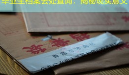 毕业生档案去处查询：揭秘现实意义