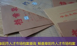 阜阳市人才市场档案查询_畅查阜阳市人才市场档案