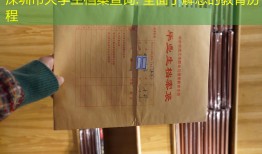 深圳市大学生档案查询: 全面了解您的教育历程