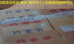 档案查询系统 南京_南京市个人档案查询服务平台