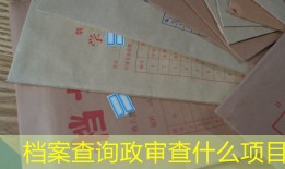 档案查询政审查什么项目
