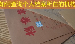 如何查询个人档案所在的机构