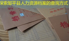 探索邹平县人力资源档案的查询方式