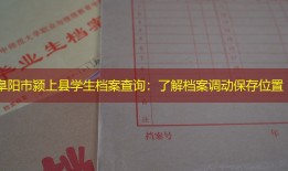 阜阳市颍上县学生档案查询：了解档案调动保存位置