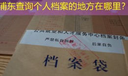 浦东查询个人档案的地方在哪里？