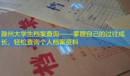 滁州大学生档案查询——掌握自己的过往成长，轻松查询个人档案资料