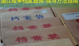 湛江政审档案查询-探寻方法指南