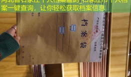 河北省石家庄个人档案查询_石家庄市个人档案一键查询，让你轻松获取档案信息