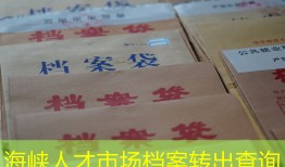 海峡人才市场档案转出查询