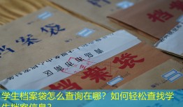学生档案袋怎么查询在哪？如何轻松查找学生档案信息？