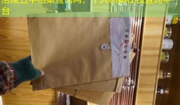涪陵五中档案查询网，个人档案在线查询平台