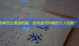 赤峰怎么查询档案：如何查阅赤峰的个人档案？