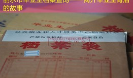 丽水市毕业生档案查询——揭开毕业生背后的故事