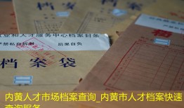 内黄人才市场档案查询_内黄市人才档案快速查询服务