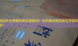 高校新生学籍档案在哪查询？如何查询高校新生学籍档案？