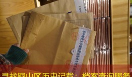 寻找铜山区历史记载：档案查询服务