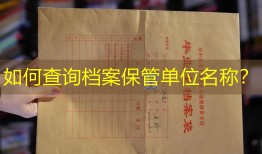 如何查询档案保管单位名称？