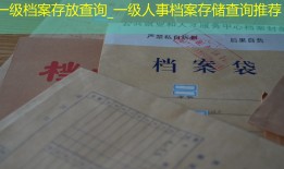 一级档案存放查询_一级人事档案存储查询推荐