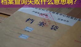 档案查询失败什么意思啊？