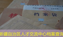 新疆自治区人才交流中心档案查询