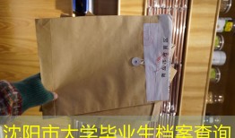 沈阳市大学毕业生档案查询