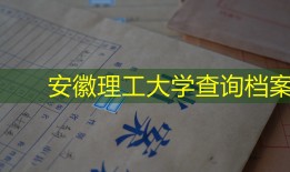 安徽理工大学查询档案