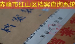赤峰市红山区档案查询系统