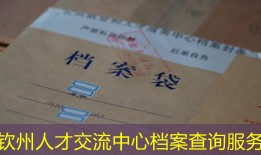 钦州人才交流中心档案查询服务