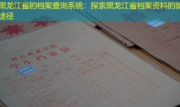 黑龙江省的档案查询系统：探索黑龙江省档案资料的新途径