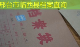 邢台市临西县档案查询