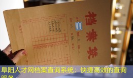 阜阳人才网档案查询系统：快捷高效的查询服务