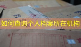 如何查询个人档案所在机构