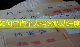 如何查询个人档案调动进度