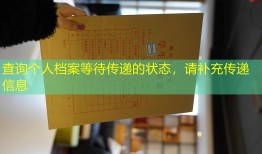 查询个人档案等待传递的状态，请补充传递信息