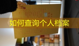 如何查询个人档案