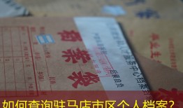 如何查询驻马店市区个人档案？
