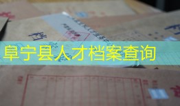 阜宁县人才档案查询