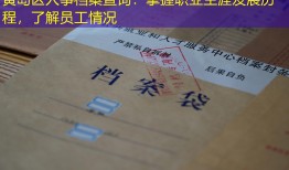 黄岛区人事档案查询：掌握职业生涯发展历程，了解员工情况