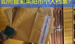 如何查询莱阳市个人档案？