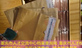 重庆市人才交流中心档案查询网_重庆市人才档案网络平台：实现快捷查询，畅享高效服务