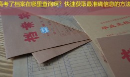 高考了档案在哪里查询啊？快速获取最准确信息的方法