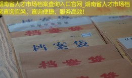 湖南省人才市场档案查询入口官网_湖南省人才市场档案查询官网：查询便捷，服务高效！