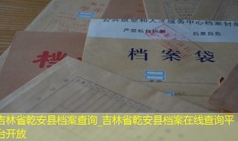 吉林省乾安县档案查询_吉林省乾安县档案在线查询平台开放