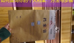如何查询你的个人档案：方法与步骤