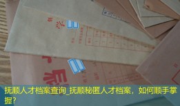 抚顺人才档案查询_抚顺秘匿人才档案，如何顺手掌握？