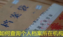 如何查询个人档案所在机构