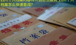 四川个人档案内容有什么怎么查询_四川个人档案怎么快速查阅？