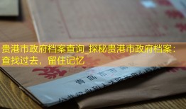 贵港市政府档案查询_探秘贵港市政府档案：查找过去，留住记忆